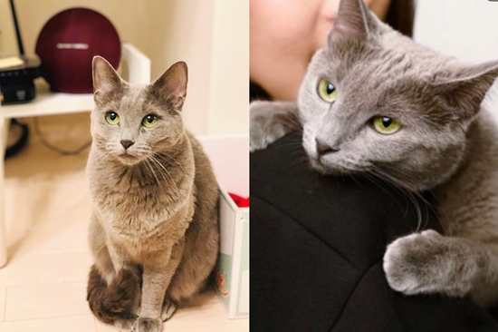 사진= 고우리 SNS