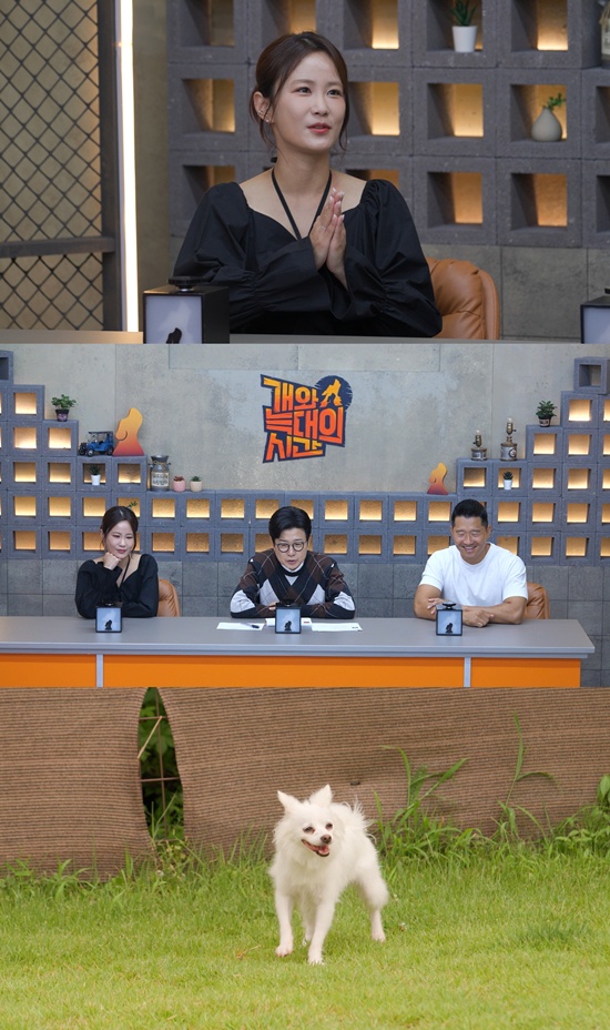 채널A '개와 늑대의 시간' 캡처