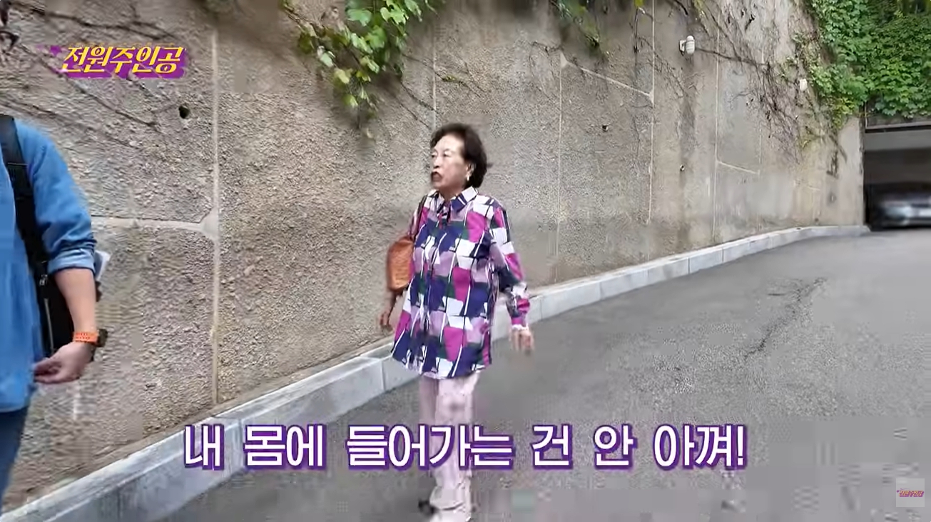 '전원주인공' 유튜브 캡처