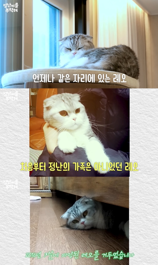 사진= 유튜브 채널 '김정난' 영상 캡처