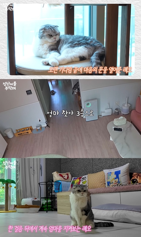 사진= 유튜브 채널 '김정난' 영상 캡처