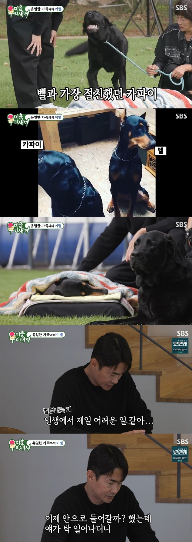 SBS '미운우리새끼' 캡처