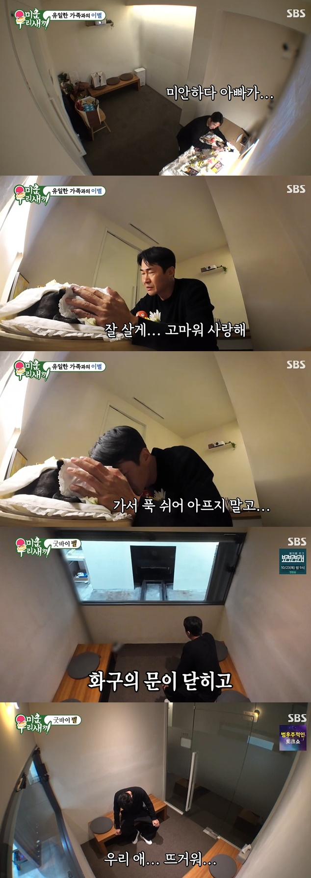 SBS '미운 우리 새끼' 캡처