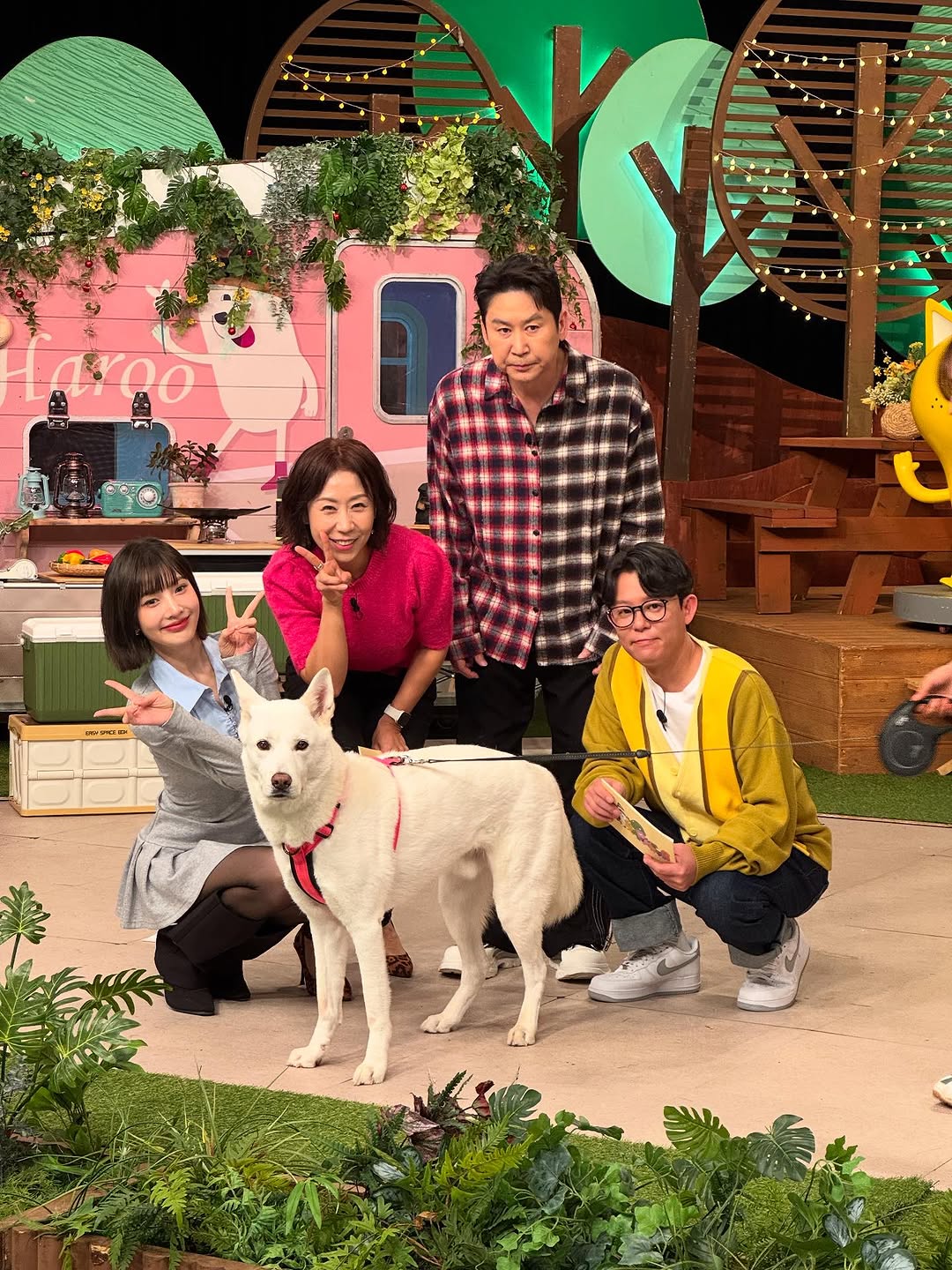 'TV 동물농장' 촬영 현장