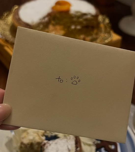 크리스탈(정수정) 계정