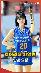 치어리더 차영현, 야구장에서 빌려온 고양이 [엑's 숏폼]