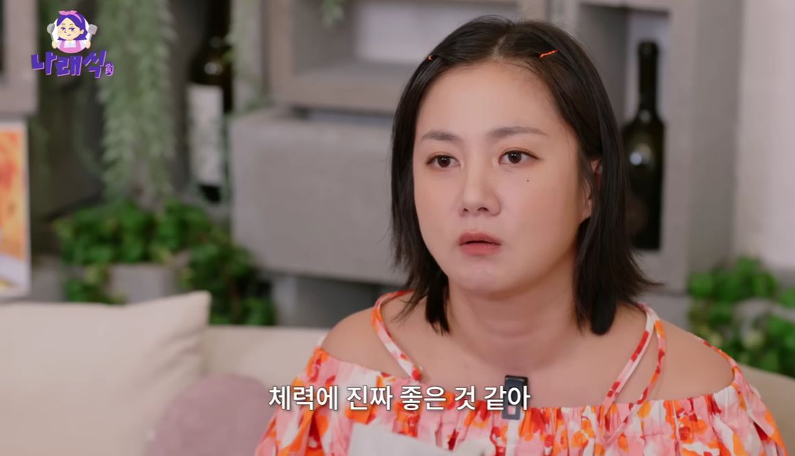 유튜브 채널 '나래식'