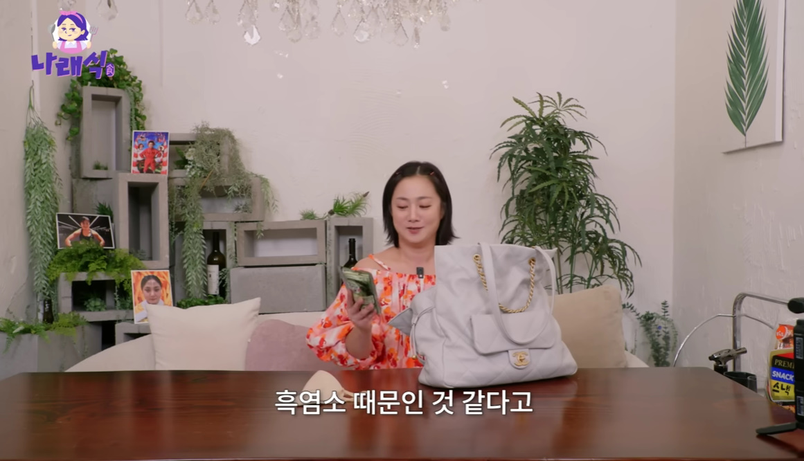 유튜브 채널 '나래식'