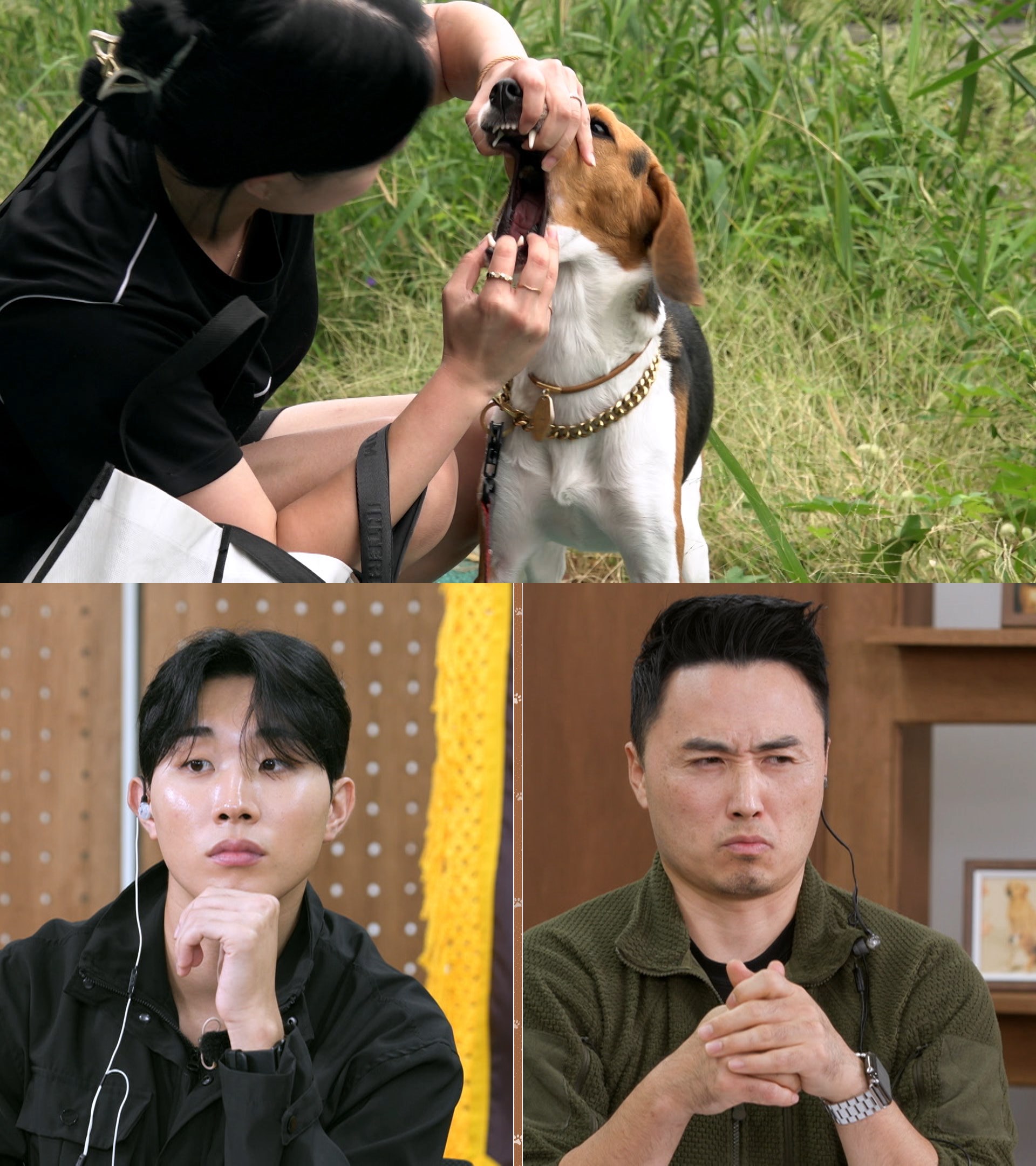 사진=KBS 2TV '개는 훌륭하다'