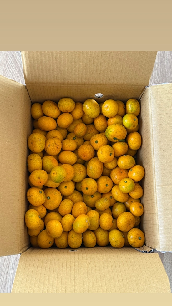 사진= 이효리 요가원 공식 SNS