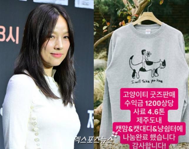 엑스포츠뉴스DB, 이효리가 공유한 스토리