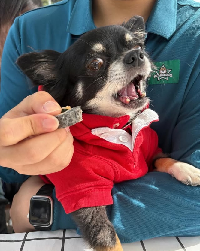 김지민 인스타그램