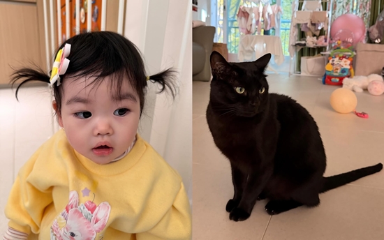 사진= 박수홍 SNS