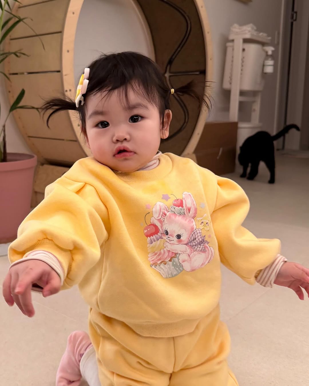 박수홍 딸 재이 양