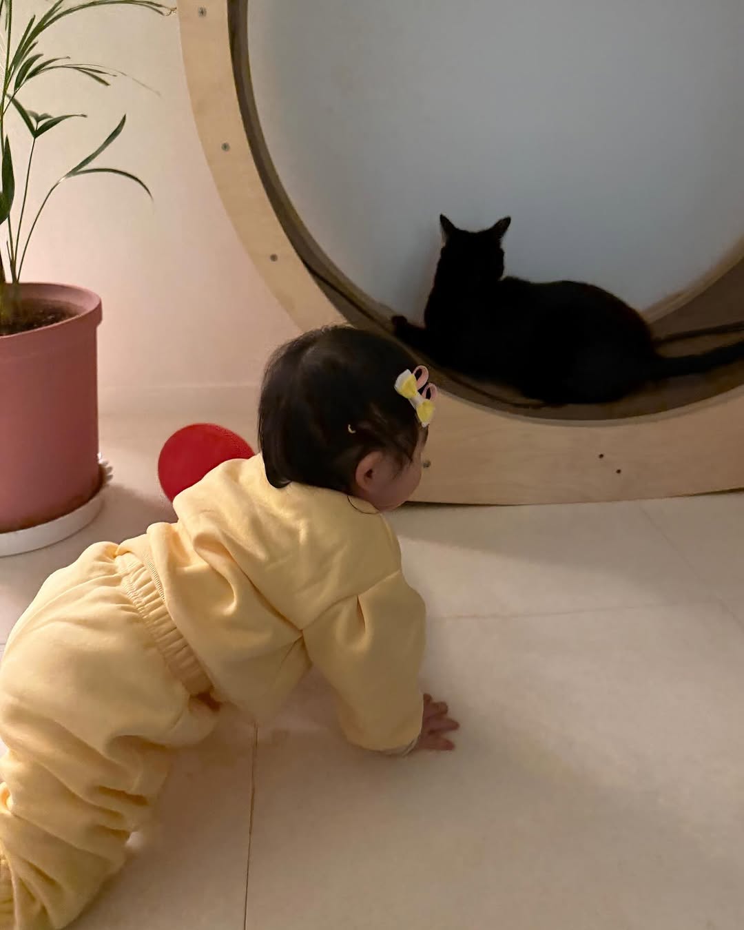 박수홍 인스타그램