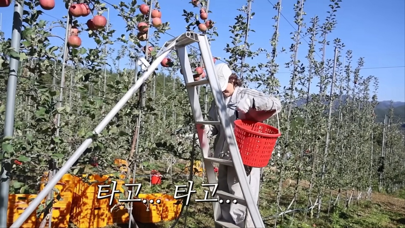 유튜브 채널 '나도최강희'