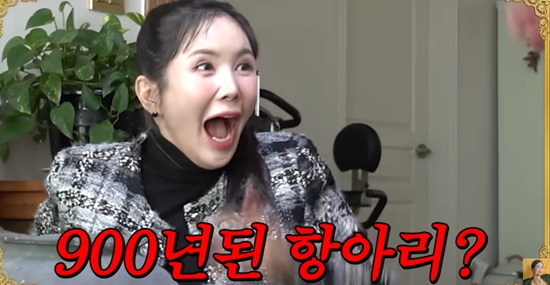 'A급 장영란' 채널 캡쳐