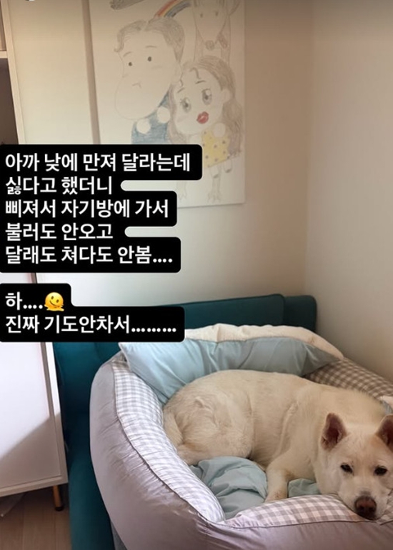 '심진화' 개인 계정