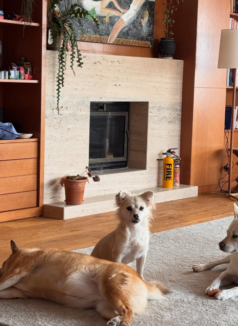 사진=이상순 SNS