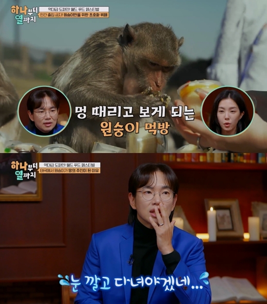 E채널 '하나부터 열까지'