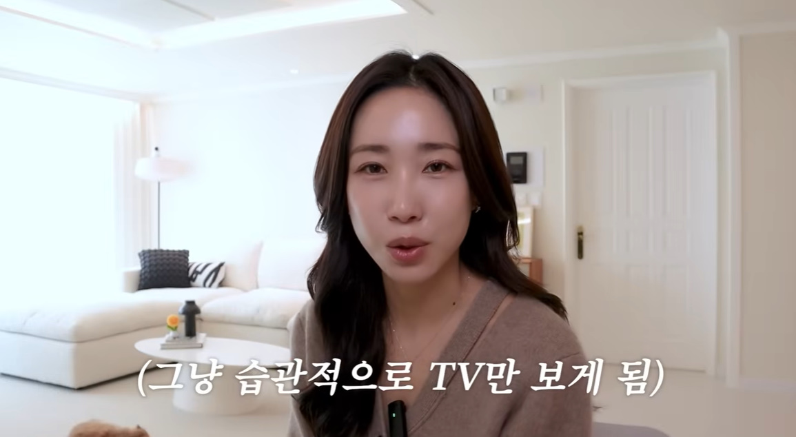 유튜브 '최희로그'