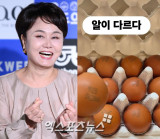 이경실, 비싸서 문제 된 사업? 입장 보니…'홍보' 조혜련은 글 삭제 [엑's 이슈]