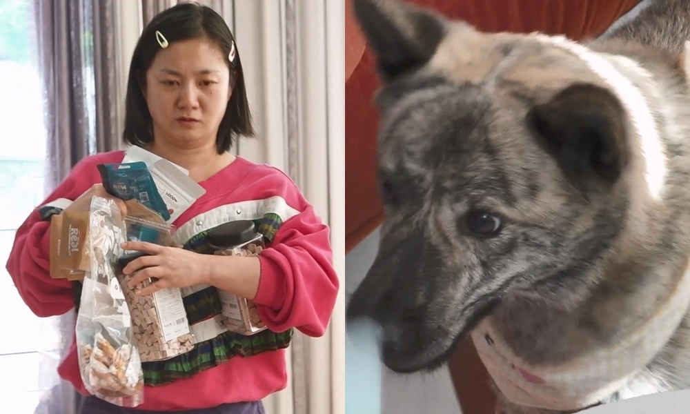 MBC '나 혼자 산다' 방송 화면