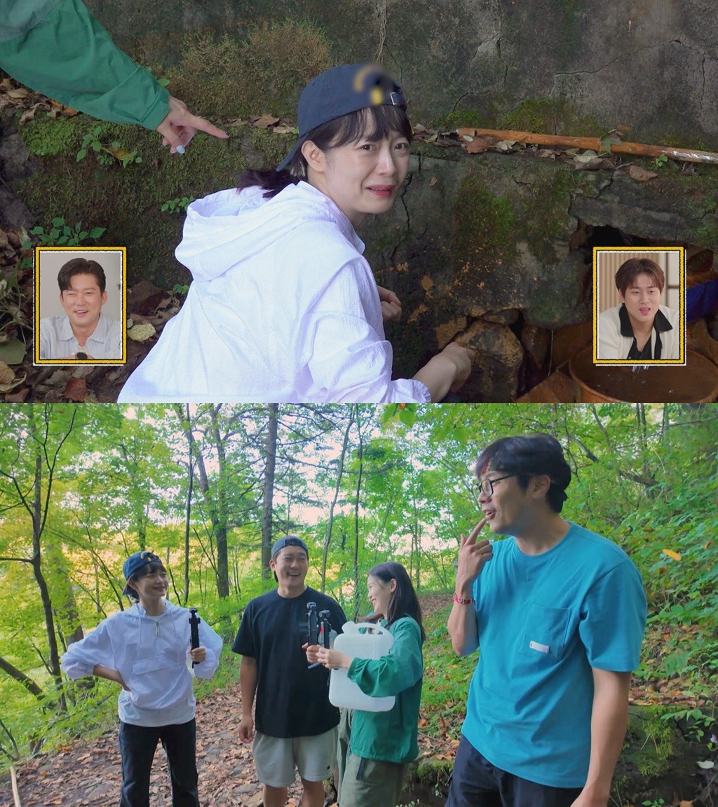 '대다난 가이드'