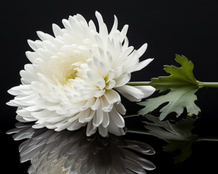 소이현 인스타그램