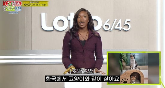 광 채널 '카니를 찾아서' 캡처