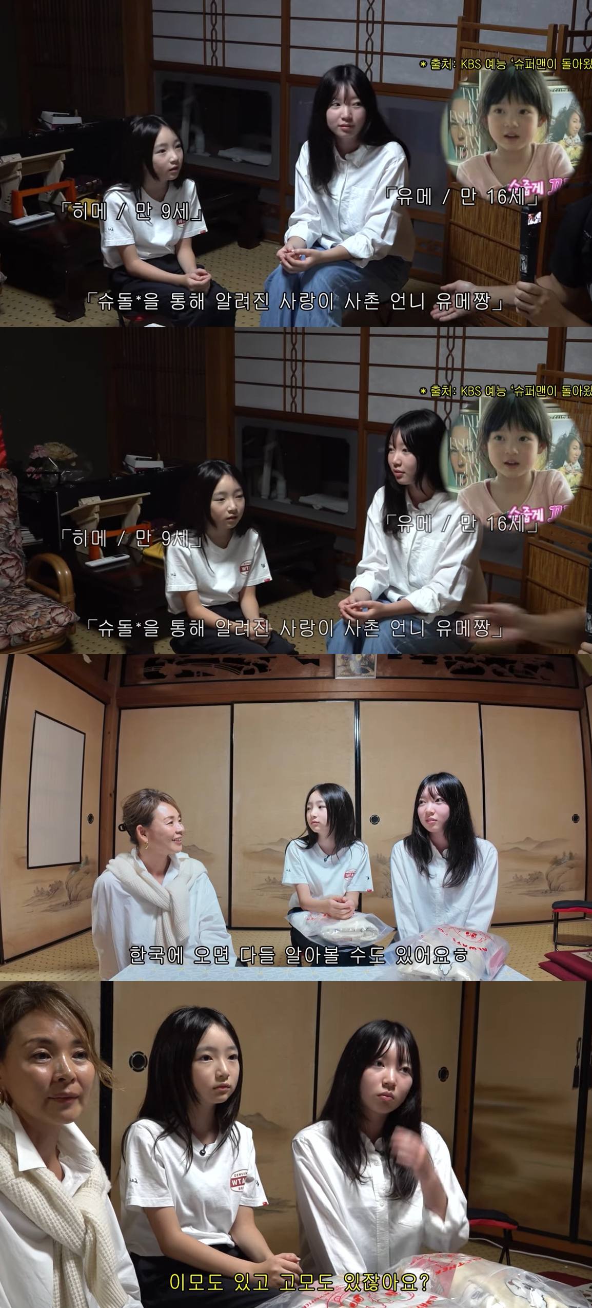 유튜브 채널 '야노시호'