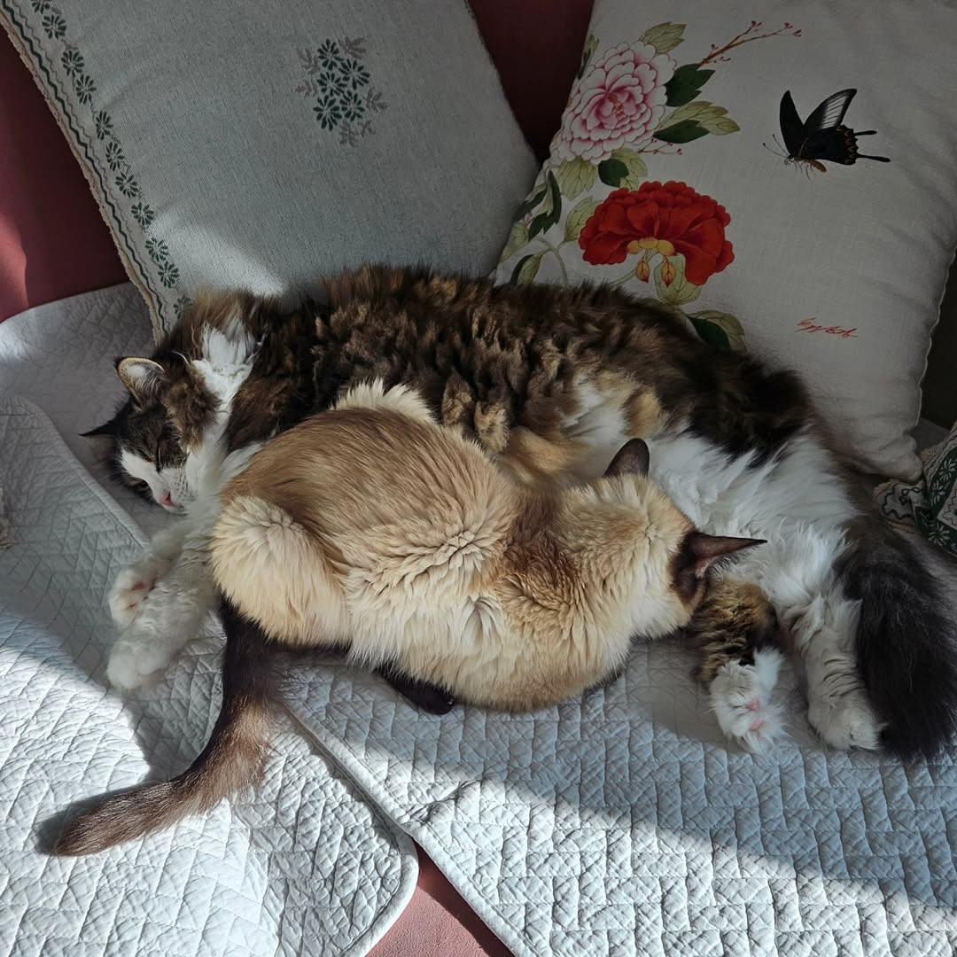 사진= 김정난 SNS