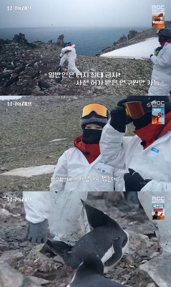 사진= MBC '기후환경 프로젝트 - 남극의 셰프' 방송 캡처