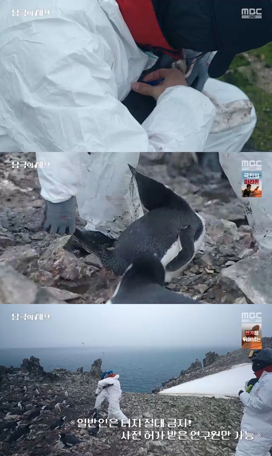 사진= MBC '기후환경 프로젝트 - 남극의 세프' 방송 캡처