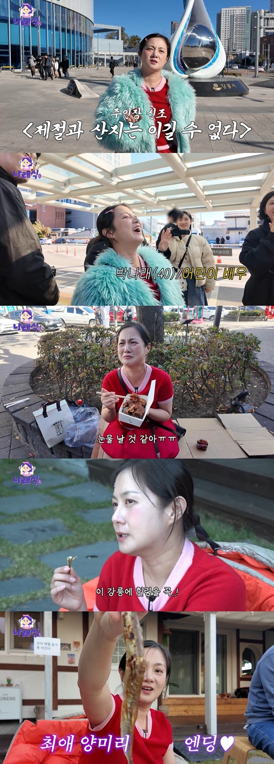 유튜브 채널 '나래식'