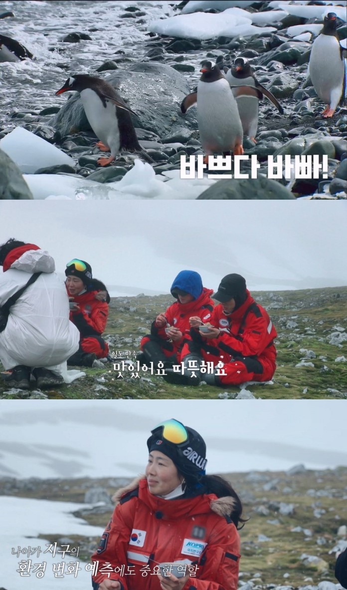 '남극의 셰프' 방송 화면