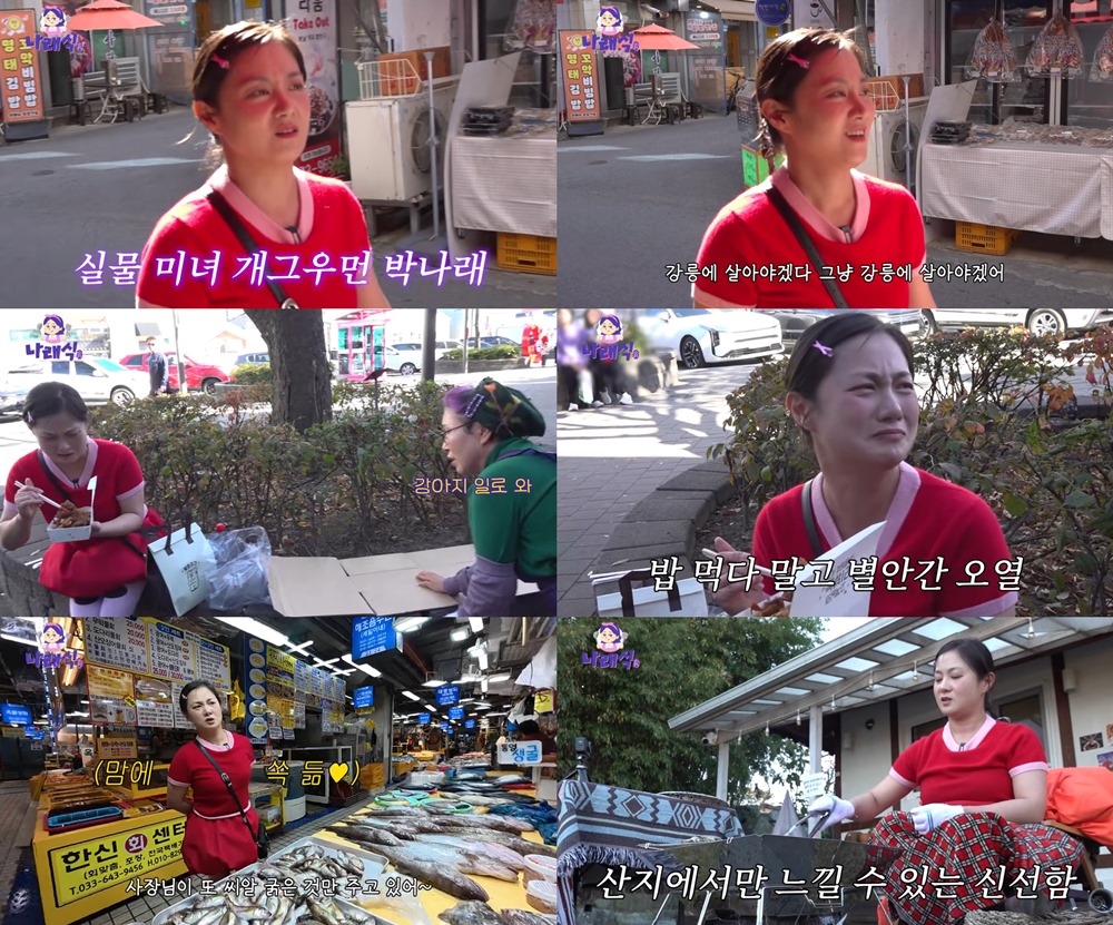 유튜브 '나래식' 캡처