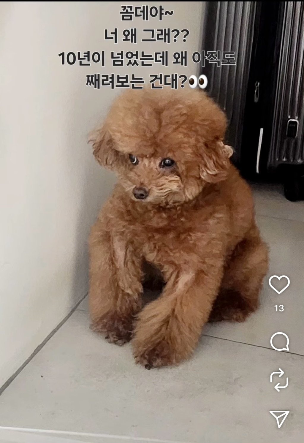 온라인 커뮤니티