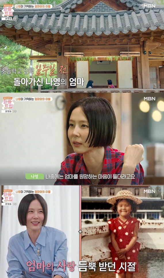 MBN '퍼즐트립' 캡처