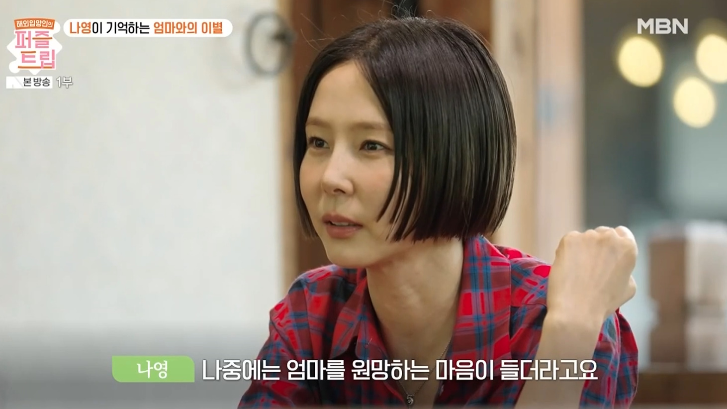 MBN '퍼즐트립' 캡처