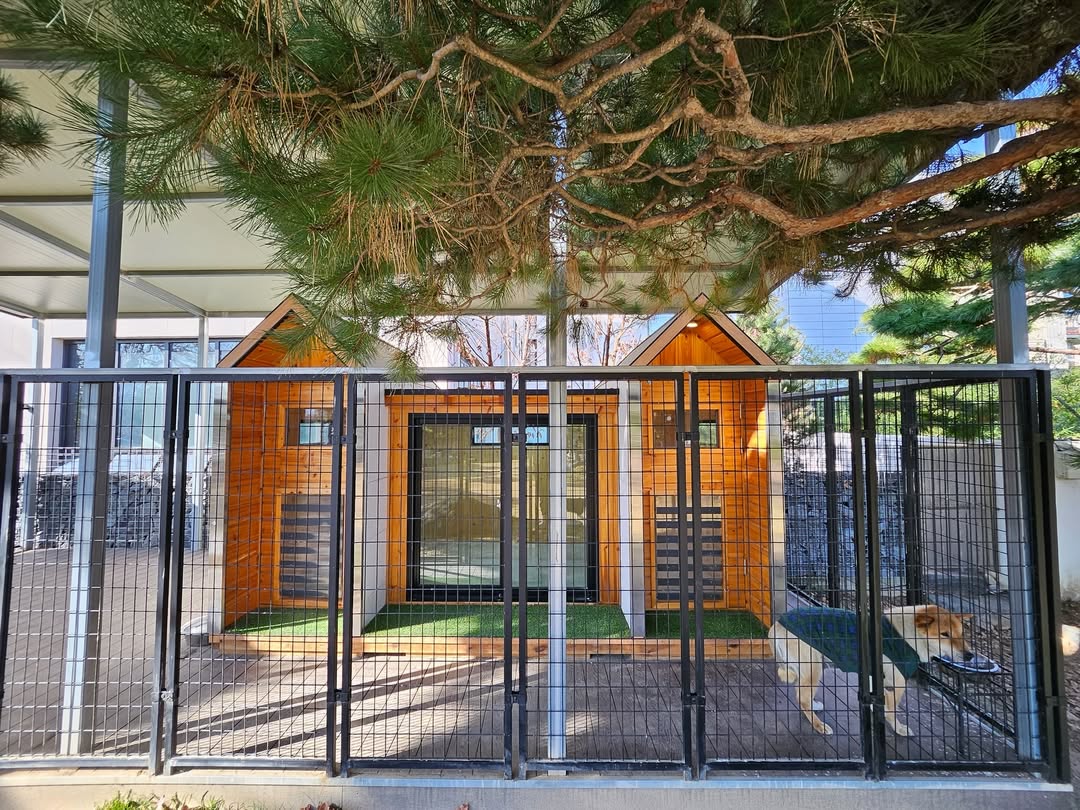 사진= 박세리 SNS