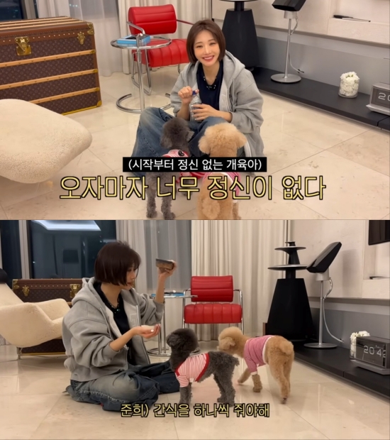 유튜브 채널 '고준희 GO'