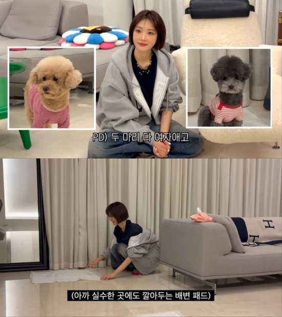 유튜브 채널 '고준희 GO' 고준희