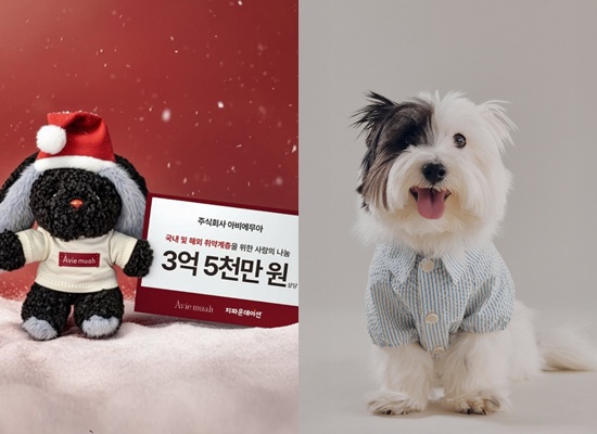 강민경 브랜드 SNS