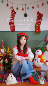 남규리, 오늘(23일) 신곡 '디셈버드림' 발표…기대 쉴 수 있는 노래 되길