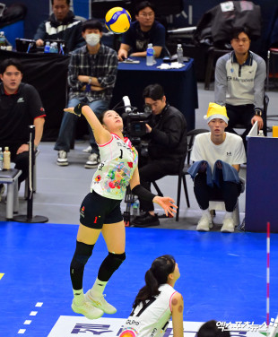 인쿠시 ‘힘찬 점프’[포토]