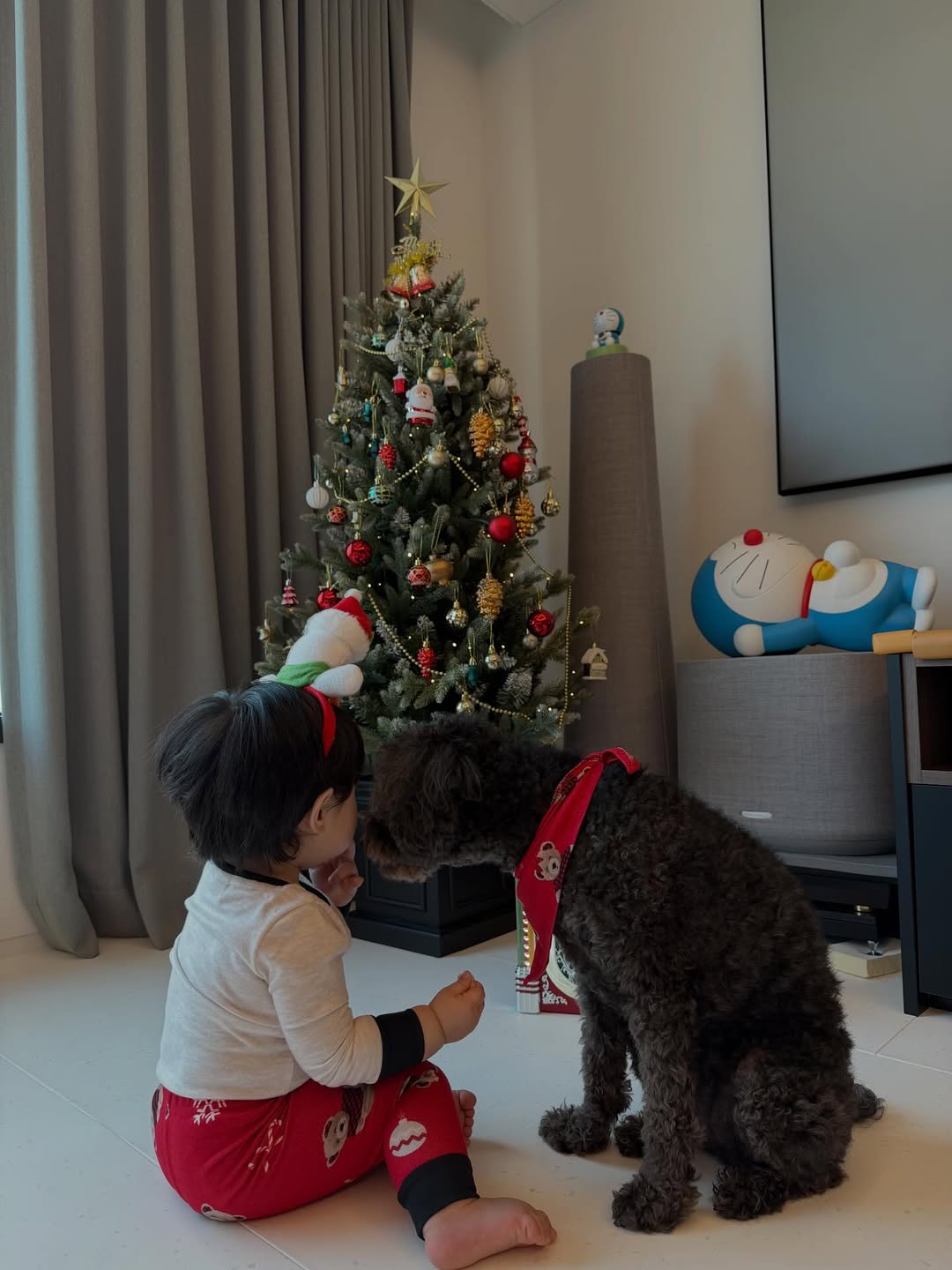 심형탁-사야 아들 하루