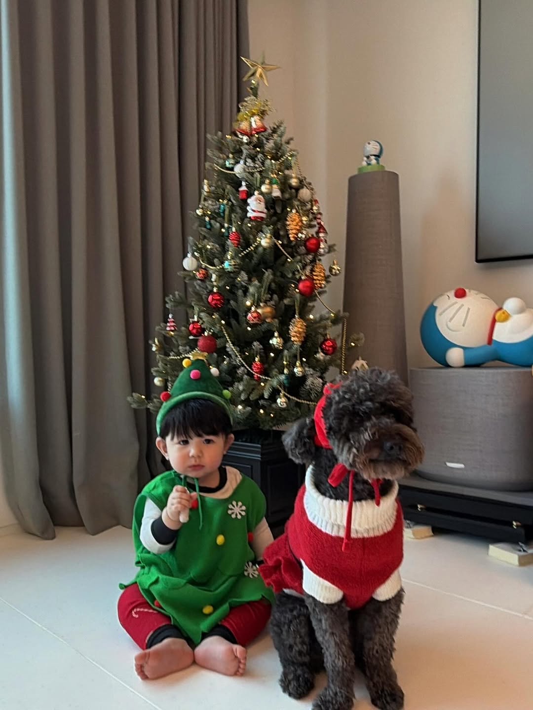 사진 = 히라이 사야 인스타그램