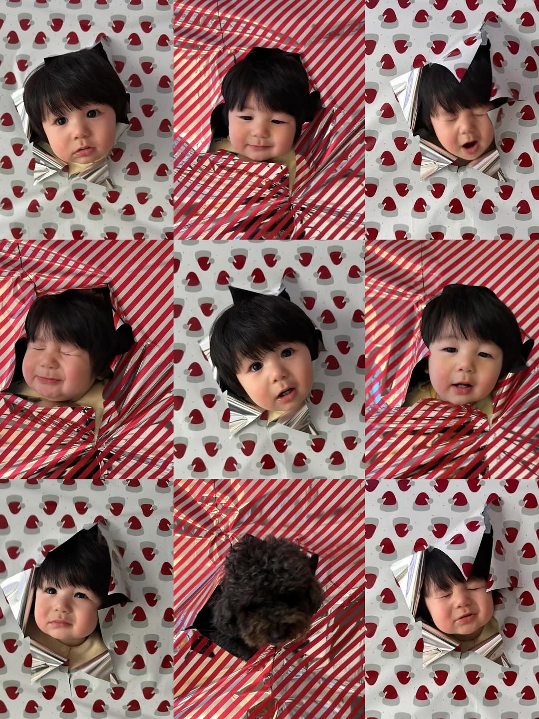 심형탁-사야 아들 하루, 포장지 콘셉트 사진