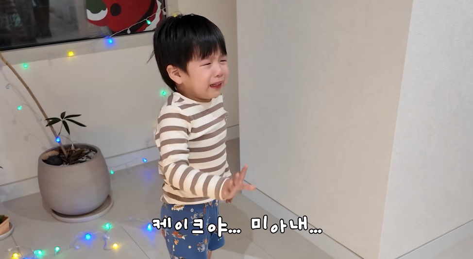 유튜브 채널 '홍쓴TV'